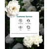 image:imageEgnaro Silicone Statement Ring Women Floral Patterned Rubber Wedding BandBMidnight Peony