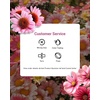 image:imageEgnaro Silicone Statement Ring Women Floral Patterned Rubber Wedding BandCOmbre Blush Daisy